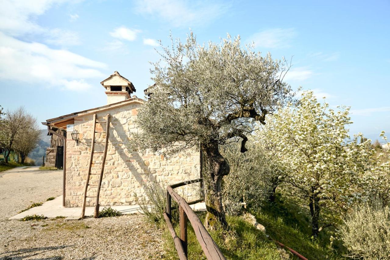 Asolo Norah'S Hill Agri Rooms Monfumo Dış mekan fotoğraf
