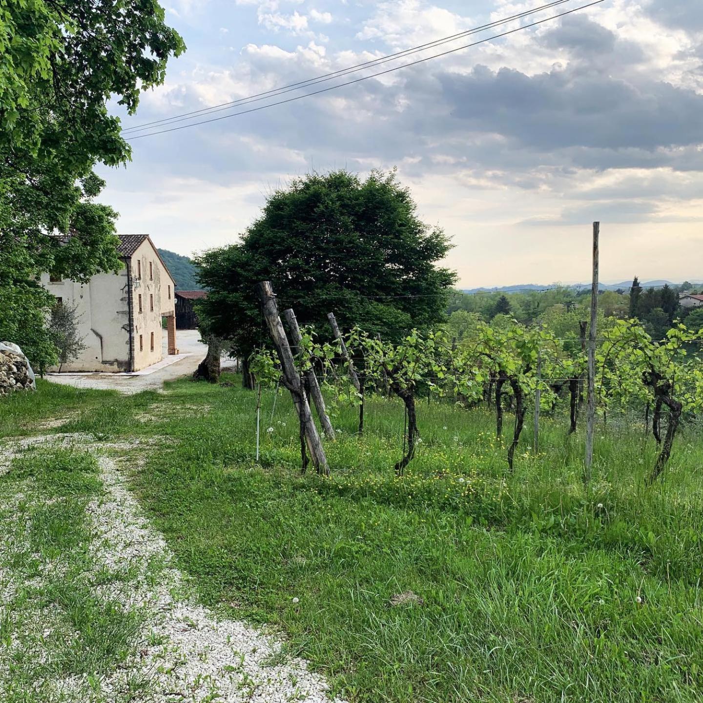Asolo Norah'S Hill Agri Rooms Monfumo Dış mekan fotoğraf