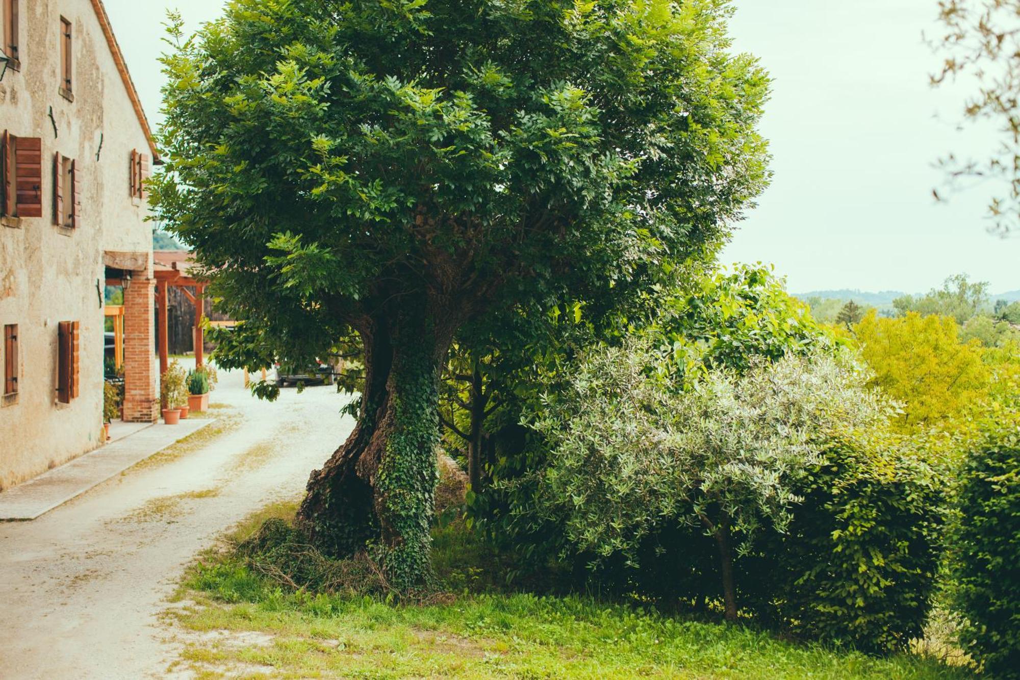 Asolo Norah'S Hill Agri Rooms Monfumo Dış mekan fotoğraf