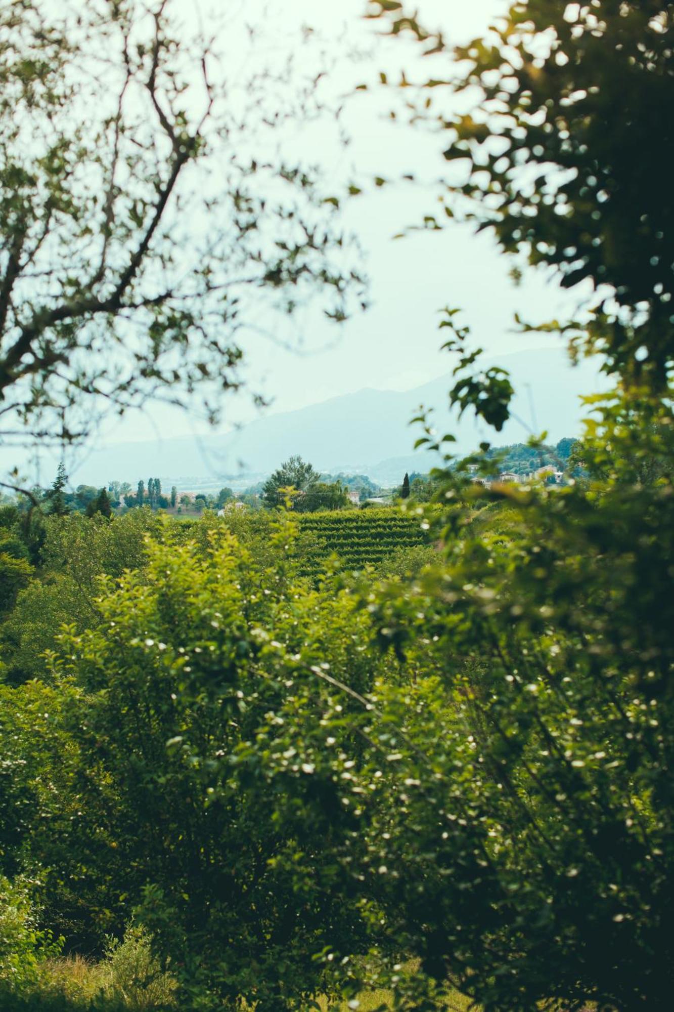 Asolo Norah'S Hill Agri Rooms Monfumo Dış mekan fotoğraf